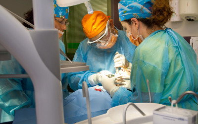 [ESTANCIA CLÍNICA] Implantes de Carga inmediata con el Dr Juan Carlos Torres
