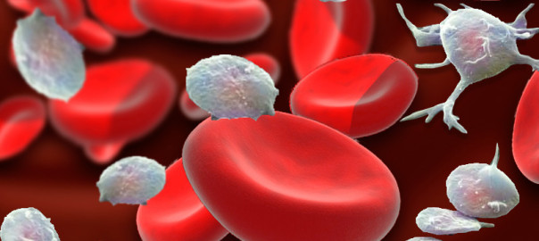 Plasma rico en fibrina