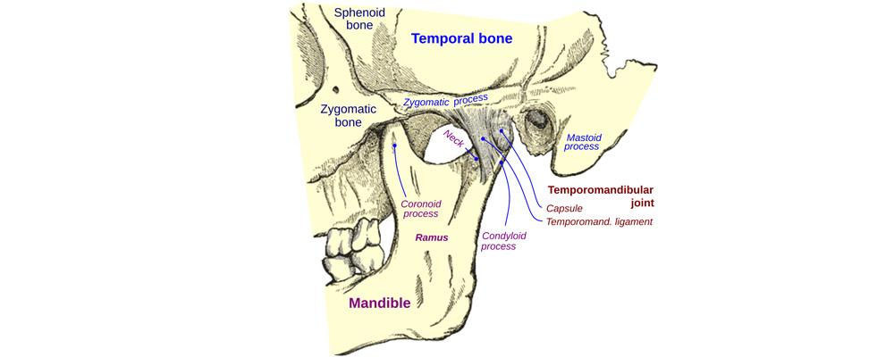 Enfermedades de la articulación temporo mandibular (ATM)